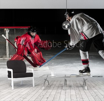 Picture of Ice hockey players